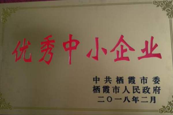 優(yōu)秀中小企業(yè)